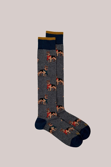 German shepherd - grey