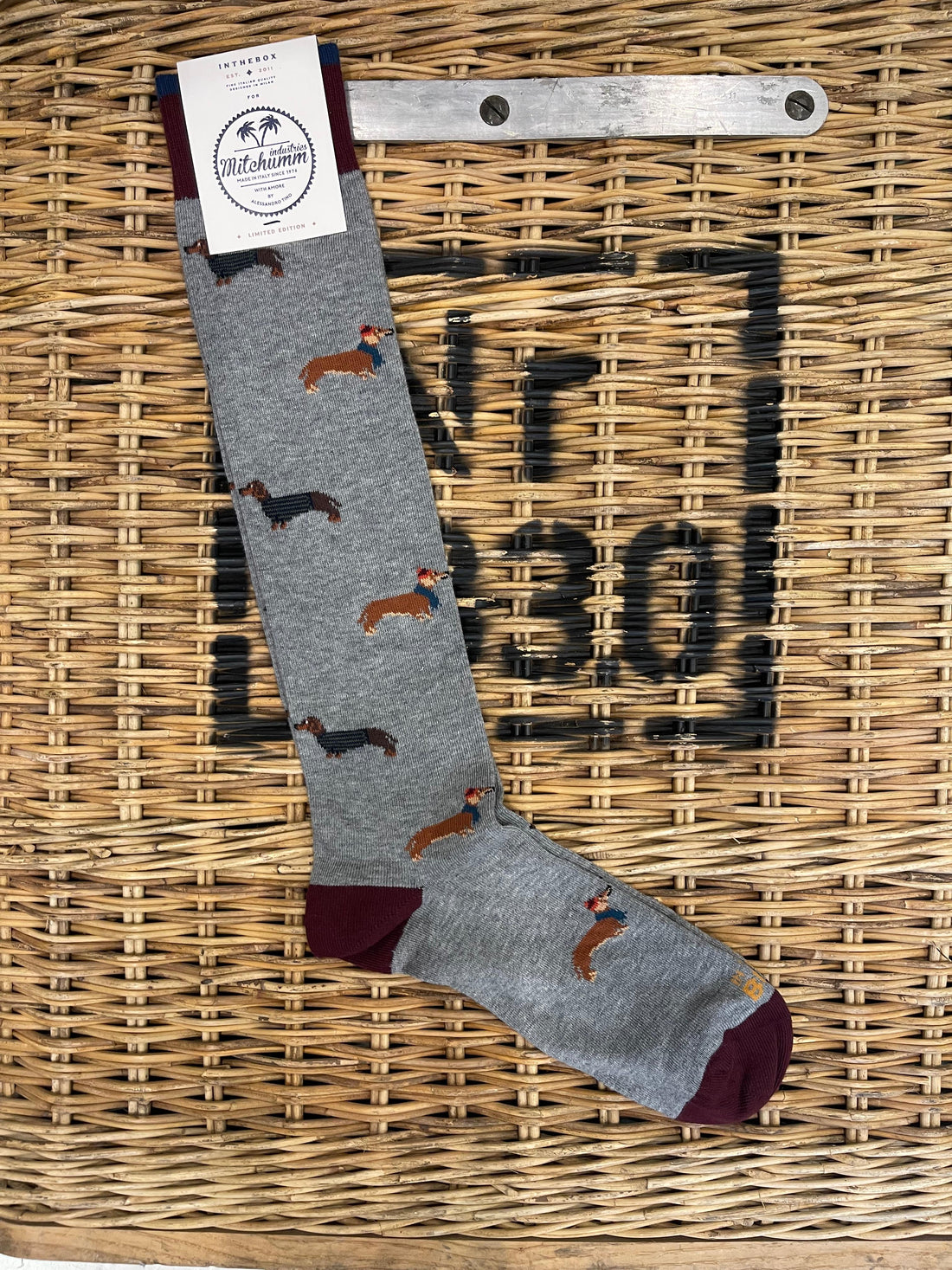 Dachshund dog with scarf - grey