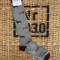 Dachshund dog with scarf - grey