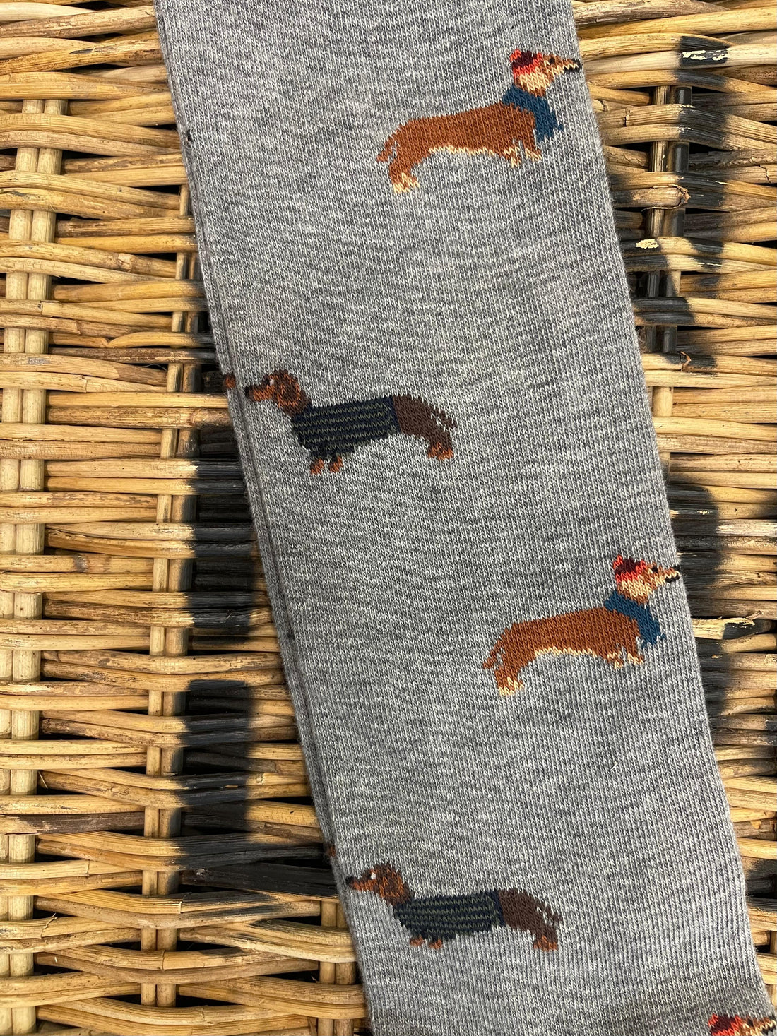 Dachshund dog with scarf - grey