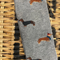 Dachshund dog with scarf - grey