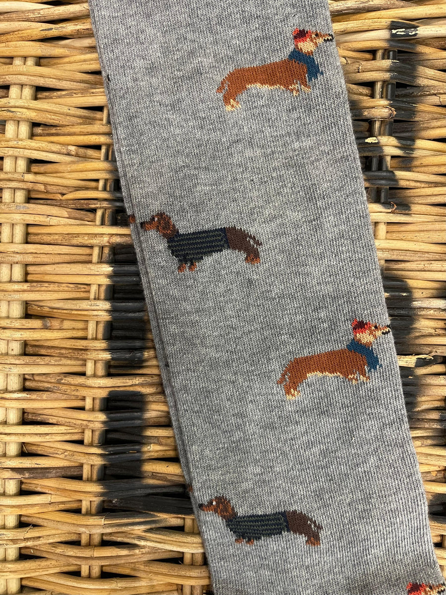 Dachshund dog with scarf - grey