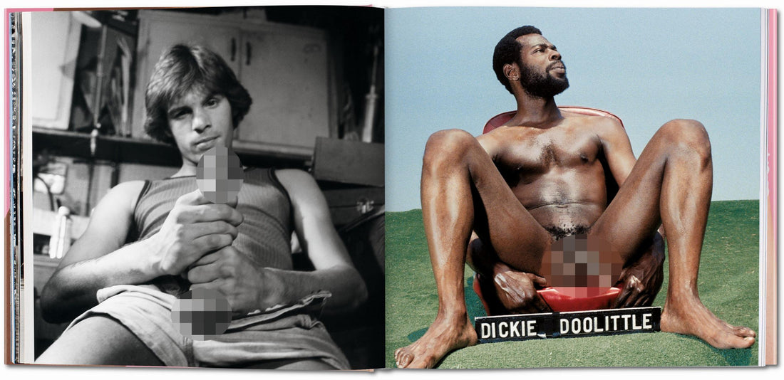 The Big Penis Book (Adult only)