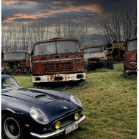 Fabulous Forgotten Collections